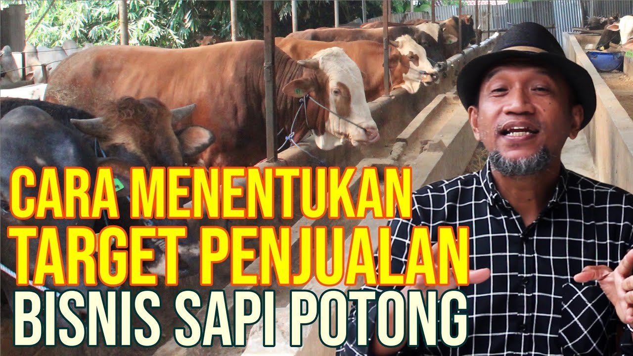 
                                 Berapa-Harga-Jual-Sapi-Dan-Target-Penjualannya